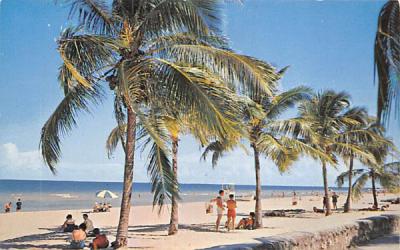 a Typical Florida Beach Scene, USA Postcard