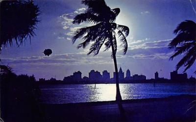 Moon Over Miami, FL, USA Florida Postcard