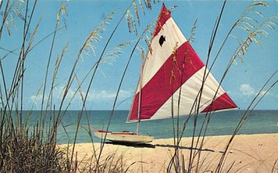 West Coast Florida Beach, USA Postcard