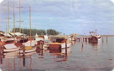 Fishing Fleet - Florida, USA Postcard