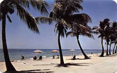 Sun-Tanning - Florida, USA Postcard
