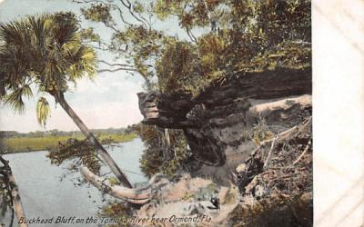 Buckhead Bluff, on the Tomoka River Misc, Florida Postcard