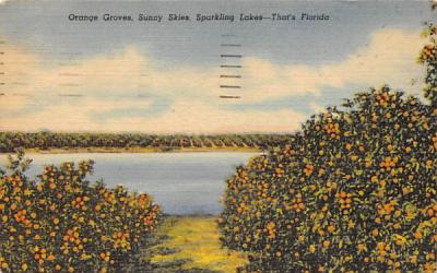 Orange Groves, Sunny Skies, Sparkling Lakes Misc, Florida Postcard