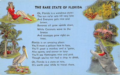 The Rare State of Florida, USA Postcard