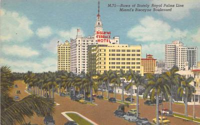Royal Palms Line Miami's Biscayne Boulevard Florida Postcard