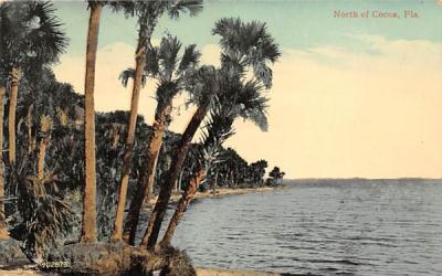 North of Cocoa, FL Misc, Florida Postcard