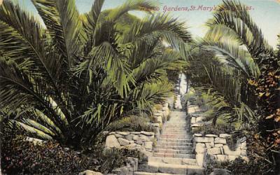 Trasco Gardens, St. Mary's Misc, Florida Postcard