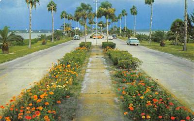 Flowerlined Causeway, Clearwater,  Clearwater Beach Misc, Florida Postcard