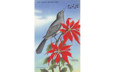 The Florida Mocking Bird, Poinsettia Blossoms, USA Postcard