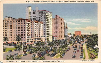 Biscayne Boulevard Looking North from Flagler Street Miami, Florida Postcard