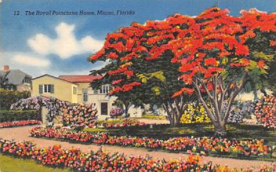 The Royal Poinciana Home Miami, Florida Postcard