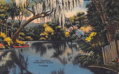 The Tranquil Suwannee River Misc, Florida Postcard