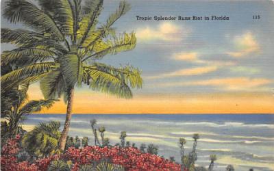 Tropic Splendor Runs Riot in Florida, USA Postcard