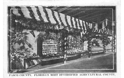 Florida's Most Diversified Agricultural County Postcard
