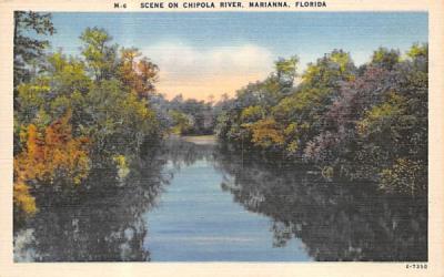 Scene on Chipola River Marianna, Florida Postcard