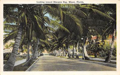 Looking toward Biscayne Bay Miami, Florida Postcard