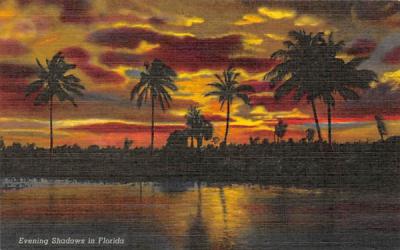 Evenig Shadows in Florida, USA Postcard