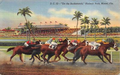 On the Backstretch, Hialeah Park Miami, Florida Postcard