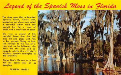 Legend of the Spanish Moss in FL, USA Misc, Florida Postcard