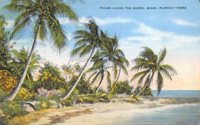 Palms Along the Shore, FL, USA Miami, Florida Postcard