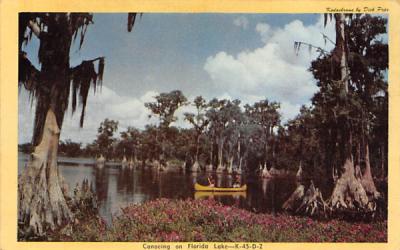 Canoeing on Florida Lake, USA Postcard