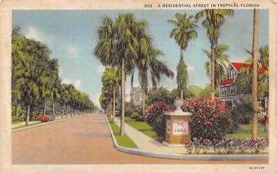 A Residential Street in Tropical Florida, USA Postcard