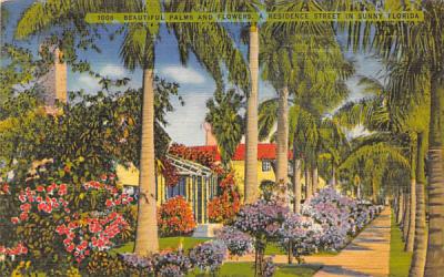 Beautiful Palms and Flowers Misc, Florida Postcard