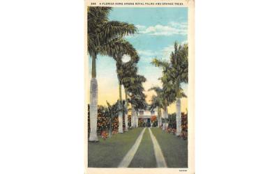 Royal Palms and Orange Trees, USA Misc, Florida Postcard