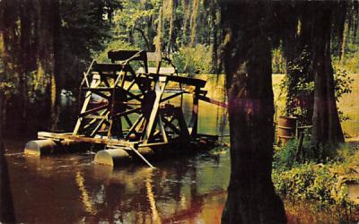 cool waters of the North Ediste River Misc, Florida Postcard