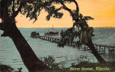 River Scene, FL, USA Misc, Florida Postcard