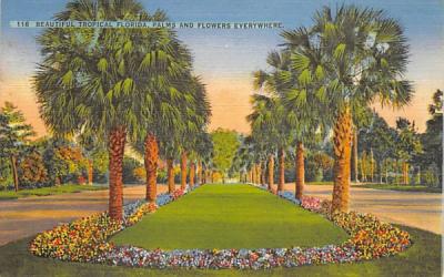 Palms and Flowers Everywhere, USA Misc, Florida Postcard