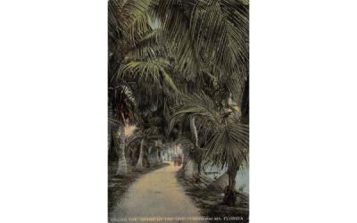 Under the Shade of the Sheltering-Palms, FL, USA Misc, Florida Postcard