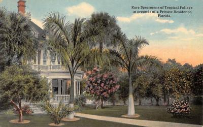 Private Residence, FL, USA Misc, Florida Postcard
