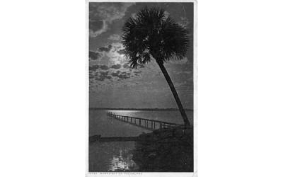 Moonlight on the Halifax Misc, Florida Postcard