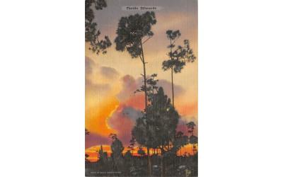 Florida Silhouette, USA Postcard