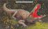 A Hungry Alligator in Florida, USA Postcard