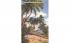 Coconut Palm Fringed Beach, South Florida, USA Postcard