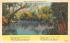 The Beautiful Suwanne River Misc, Florida Postcard