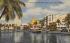 Tropical Miami Beach from Indian Creek Florida Postcard