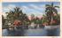 A Peaceful Scene Along New River Miami, Florida Postcard