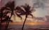 Sun On The Horizon in Florida, USA Postcard