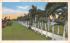 A Row of Palms in Beautiful FL, USA Misc, Florida Postcard
