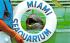 Miami's Seaquarium Florida Postcard