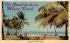 It's Great to be in Miami Beach, FL, USA Florida Postcard