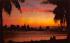 Miami Skyline Florida Postcard