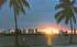Miami Sunset Florida Postcard