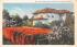 Flame Vine and Spanish Type Home in Florida, USA Postcard
