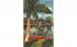 Lone Royal Palm Miami, Florida Postcard