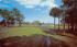13th Hole - Par 3, The Country Club of Florida Postcard
