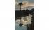 Sunset Silhouette on a Florida River, USA Postcard